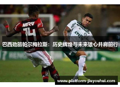 巴西劲旅帕尔梅拉斯：历史辉煌与未来雄心并肩前行