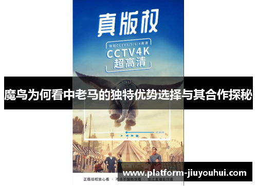 魔鸟为何看中老马的独特优势选择与其合作探秘 魔鸟为何看中老马的独特优势选择与其合作探秘