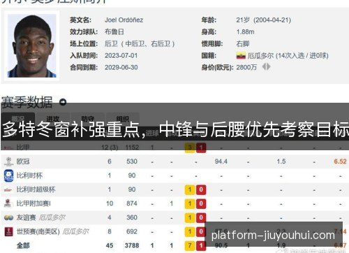 多特冬窗补强重点，中锋与后腰优先考察目标